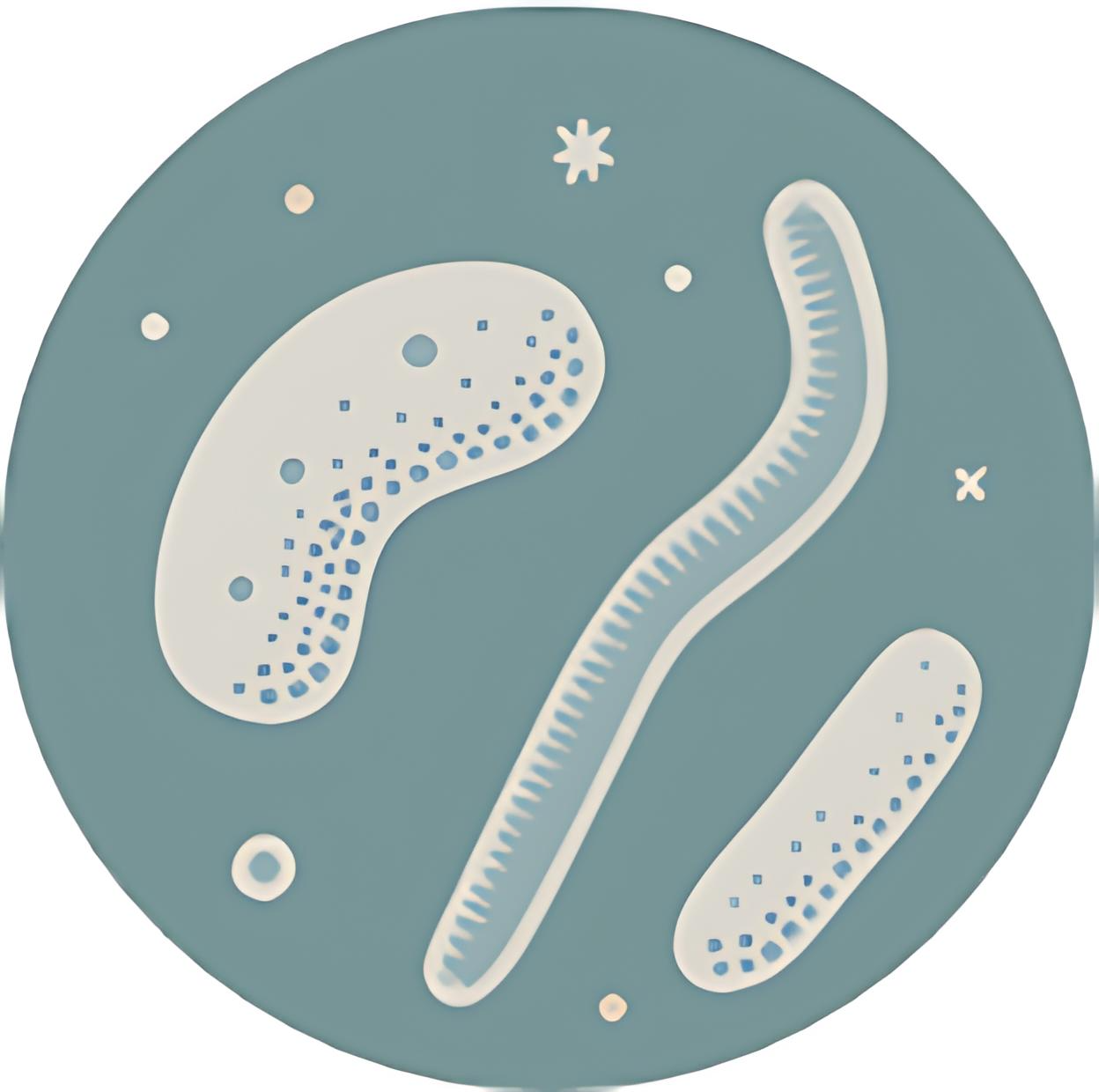 catalog.collection.c01